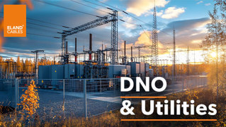 DNOs