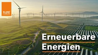 Renewable Energy (DE 2025)