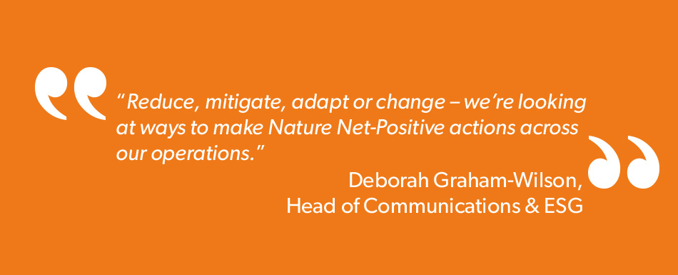 Protecting The Environment Quote (1)