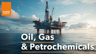 Oil , Gas and Petrochemicals