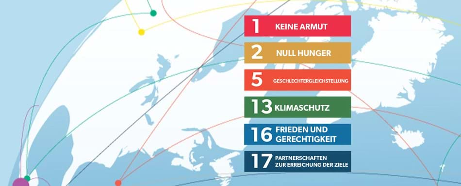 Making Global Goals Image DE